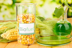Penarth biofuel availability